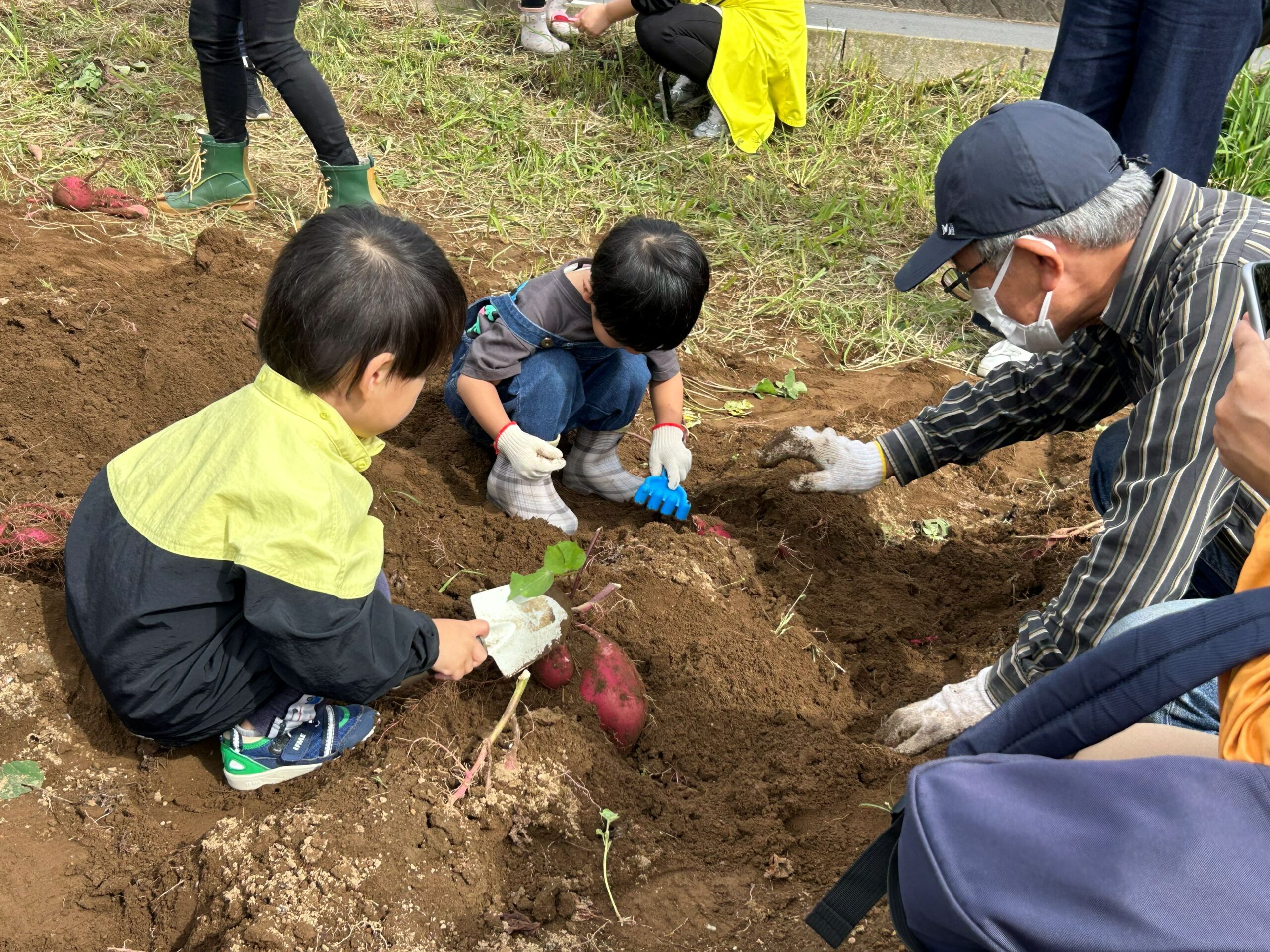 なめっこクラブ（お芋堀り）